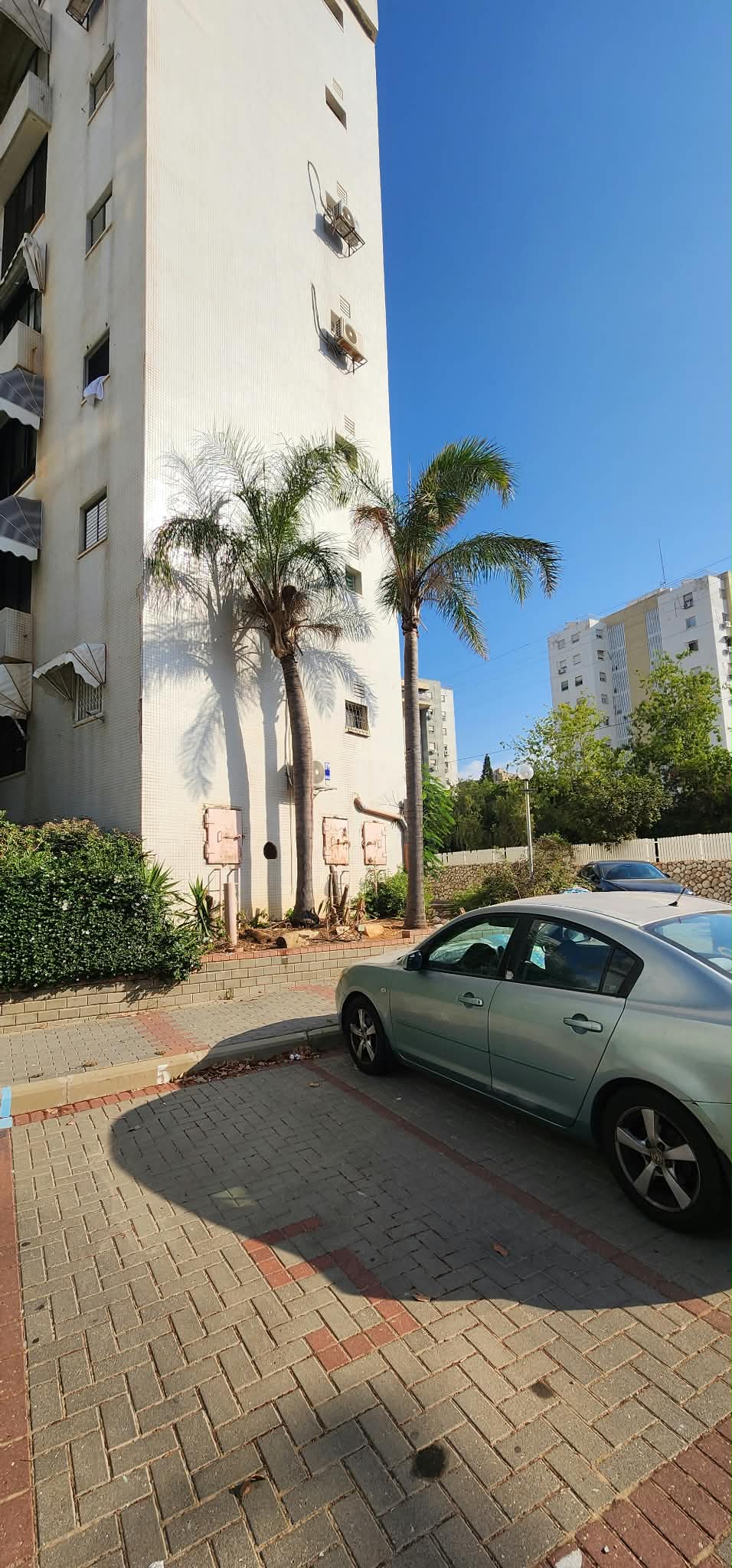 גיזום וכריתת עצים בנתניה – תיעוד מהשטח 6