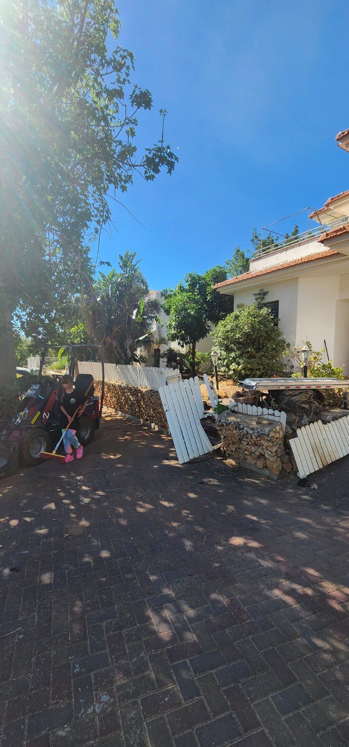 השטח לאחר כריתת דקלים בתל אביב