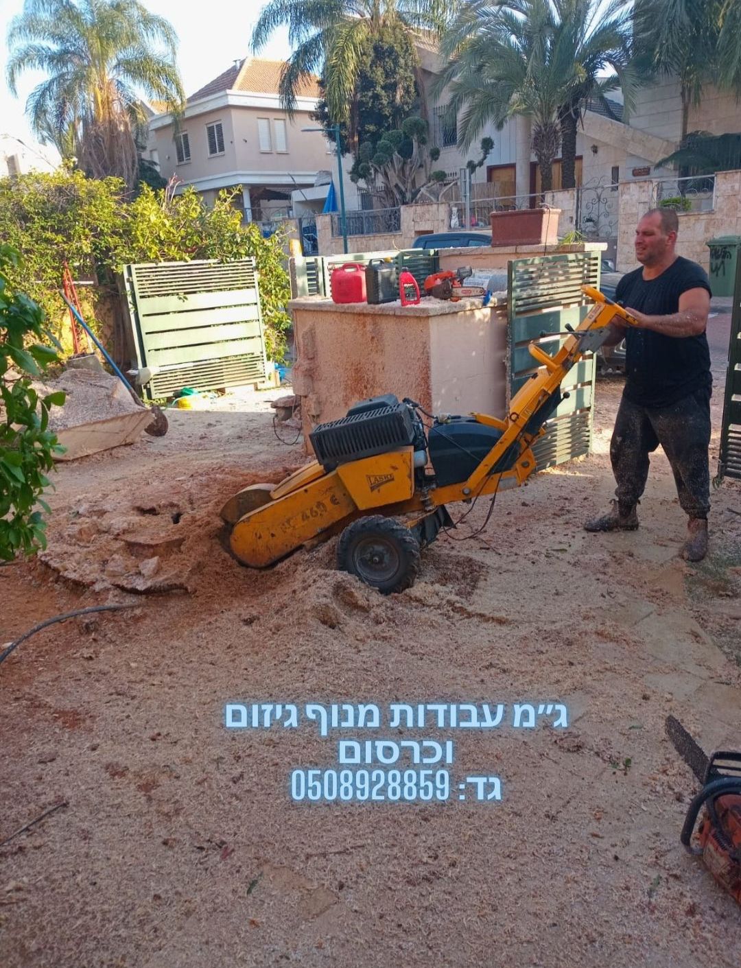 עבודת גיזום