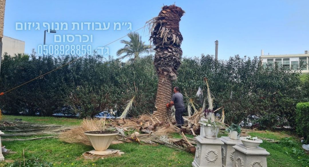 עבודת גיזום