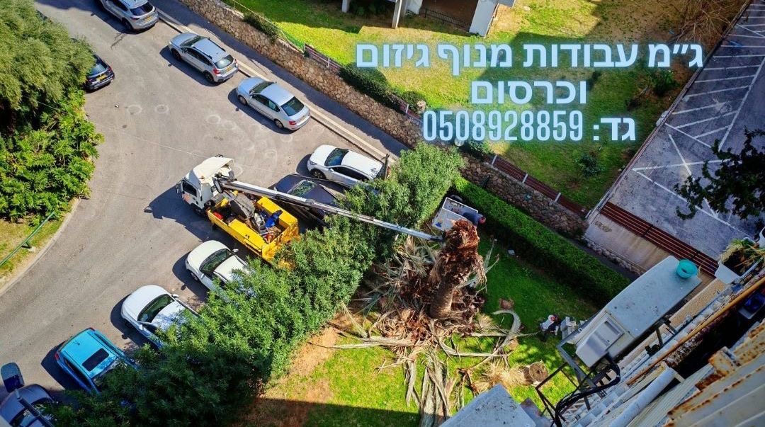עבודת גיזום