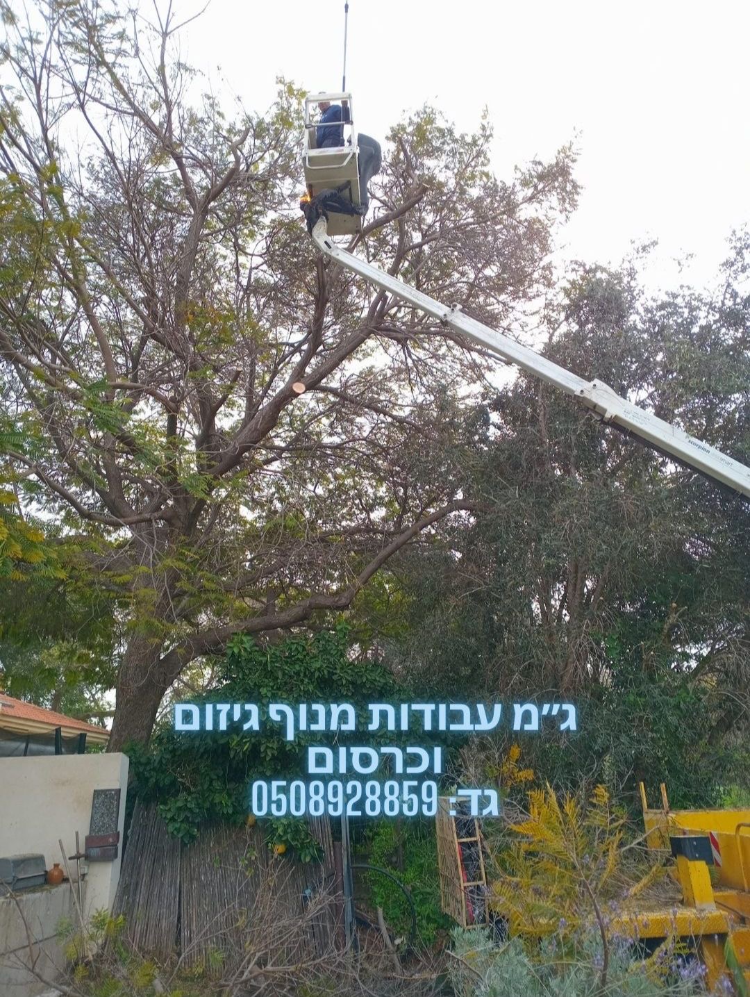 עבודת גיזום