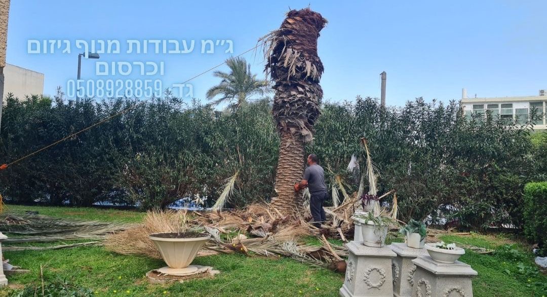 עבודת גיזום