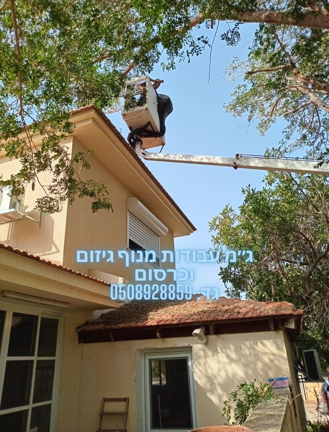 עבודת גיזום